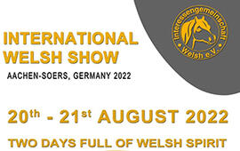 21st International Welsh Pony and Cob Show
