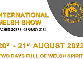 [21st International Welsh Pony and Cob Show