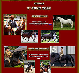 [Int. Pentecost Welsh Pony & Cob Show 2022