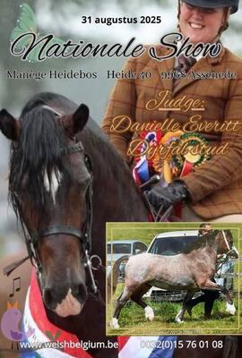 [Resultaten Nationale Show 2025