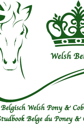 [Sponsor Nationale Show 2025